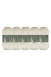 5'li Paket Polyanna Family Yarn Anti Pilling Örgü İpi No:520 Açık Bej